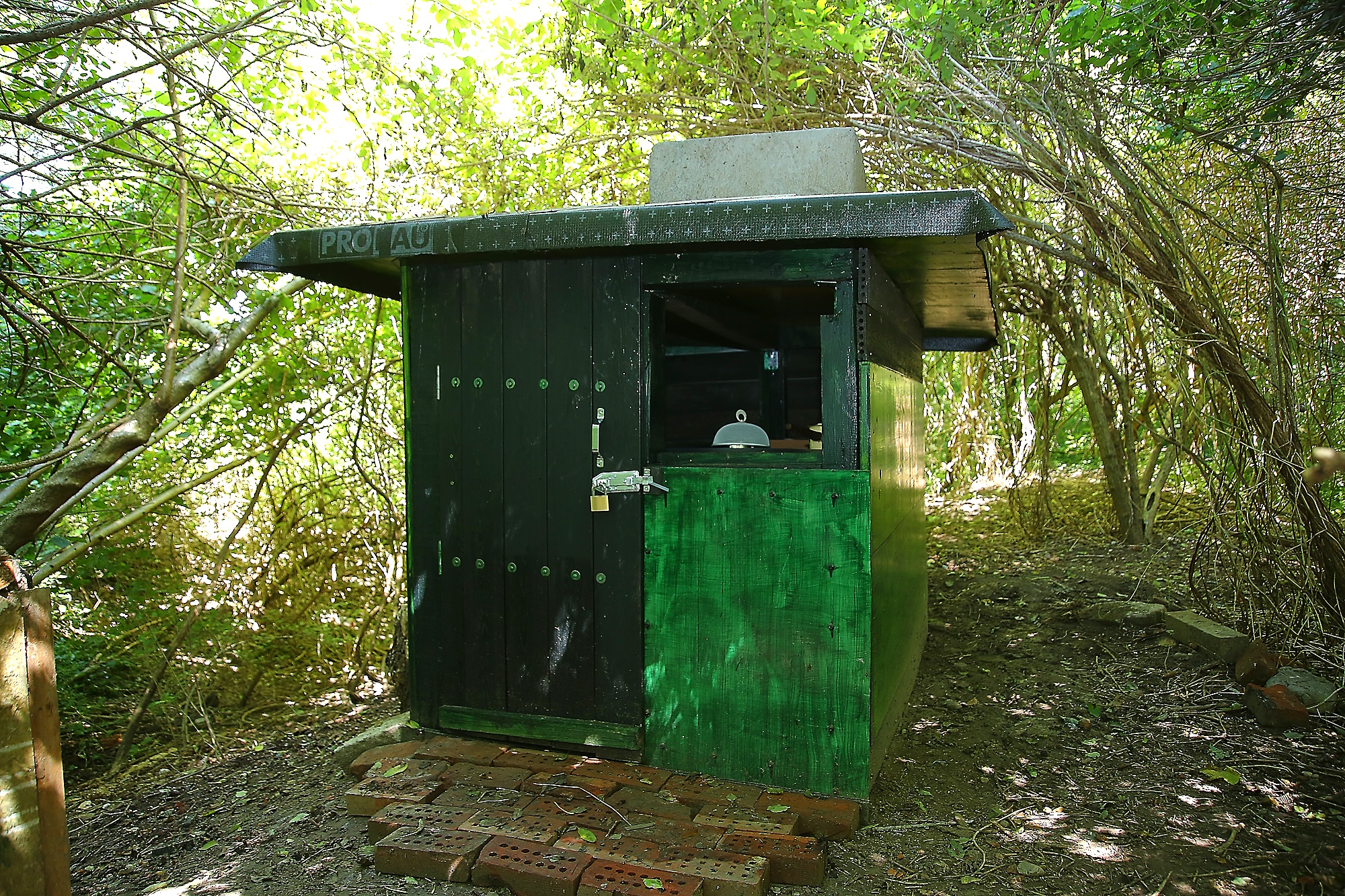Our cat shelter in the Drava Forest